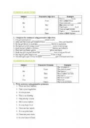 English worksheet: Possessive adjectives and possessive pronouns