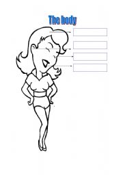 English Worksheet: The Body