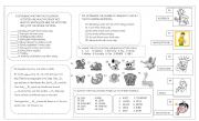 English Worksheet: a test about adverb of frequency, animals, animal sounds, health problems and healthy habbits.