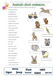 English Worksheet: animals