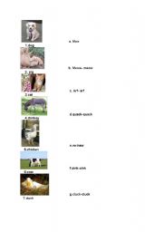 English worksheet: animals