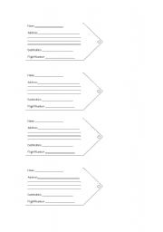 English worksheet: luggage labels