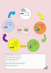 English Worksheet: Life cycle- when