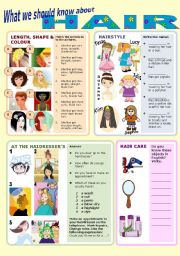 English Worksheet: What we should know about hair
