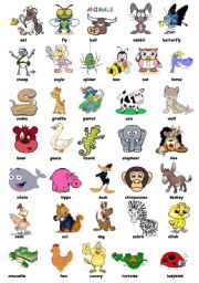 English Worksheet: animals