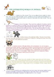 English worksheet: The Interesting World of Animals 