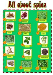 English Worksheet: SPICES