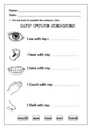 English Worksheet: My five senses