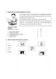 English worksheet: Present Simple