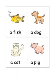 animal flashcards