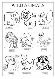 English Worksheet: WILD ANIMALS