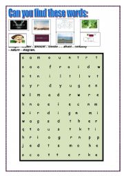 English Worksheet: Vocabulary Quiz