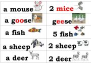 English Worksheet: Plurals 