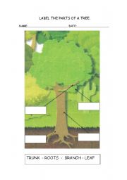 English Worksheet: Lable the parts of a tree