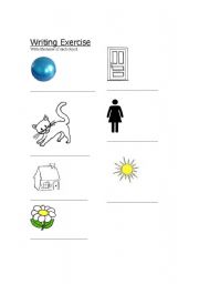 English Worksheet: Writing Practice