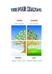 English Worksheet: the four seasons