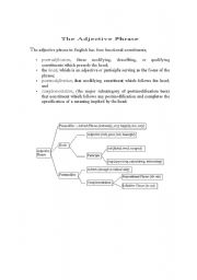 English Worksheet: identifying adjective phrases