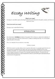 English Worksheet: How to Write an Essay
