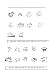 English Worksheet: clothes and parts of body