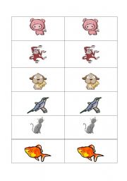 English Worksheet: animal