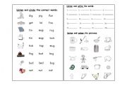 English Worksheet: phonics