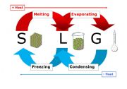 English Worksheet: Diagram of the Water Cycle