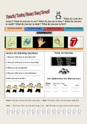 English Worksheet: Touch/Smell/See/Taste/Feel