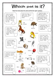 English Worksheet: Which pet is it?