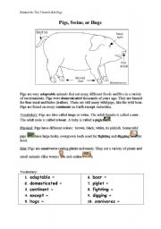 English worksheet: Pigs vocabulary 