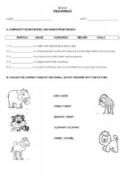English worksheet: QUIZ WILD ANIMALS