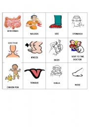 English Worksheet: body bingo 5