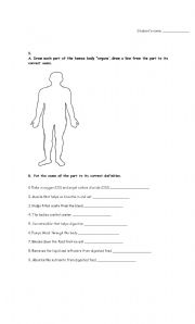 English Worksheet: human body