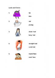 English Worksheet: Characteristic