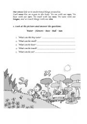 English Worksheet: Senses 