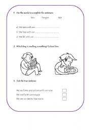 English worksheet: Senses Activity