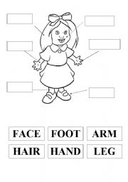 English Worksheet: the body parts