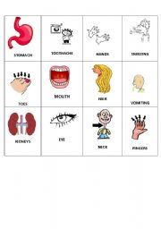 English Worksheet: body bingo 2 