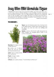 English worksheet: Wild Mountain Thyme song