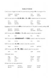 English worksheet: Plural of nouns