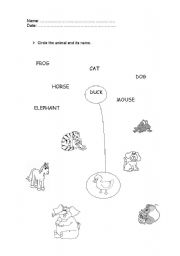 English Worksheet: Animals