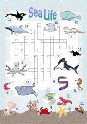 English Worksheet: Crosswords - Sea Life