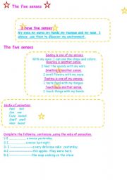 English Worksheet: The five senses