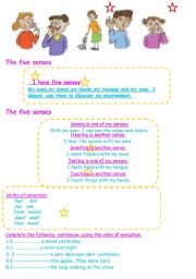 English Worksheet: The five senses