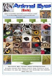 QUIZ - ANIMAL EYES -  (7 Pages) with an interesting activity with images of EYES of wild animals + Instructions and 5 extra activities to work with them