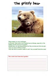 English worksheet: The grizzly bear