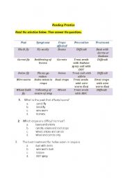 English worksheet: Reading Practice