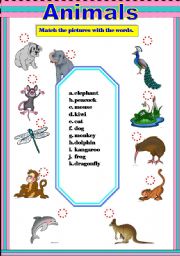 English worksheet: animals