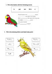 English Worksheet: Steps to describing animals