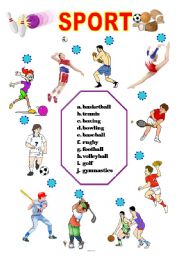 English Worksheet: sport