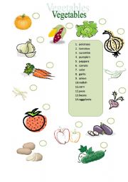 English Worksheet: Vegetables